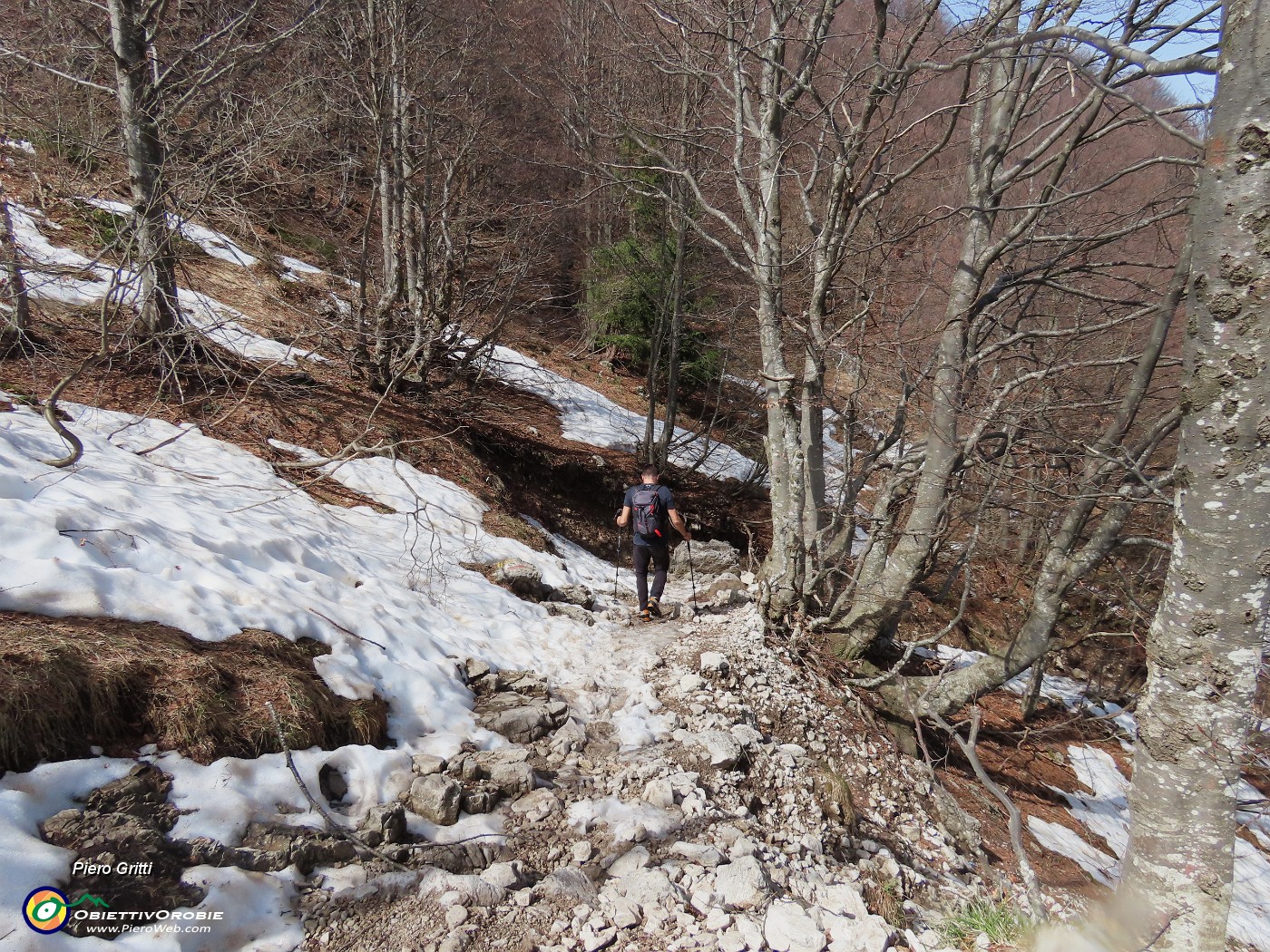 66 Entrando nel bosco la neve diminuisce.JPG